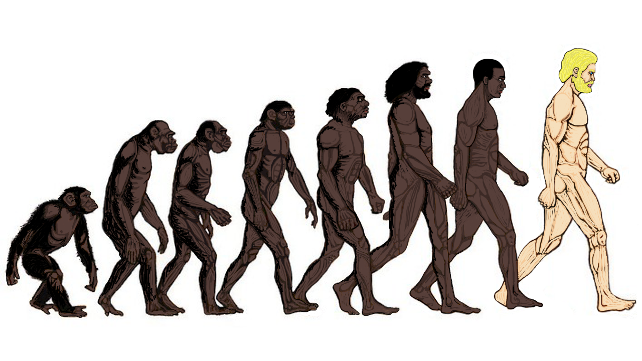 Эволюционирует ли человек. Человек превращается в обезьяну. Эволюция человека. От обезьяны к человеку. Развитие человека.